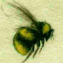 honeybeelullaby avatar