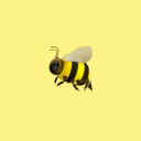 honeycombhq-22 avatar