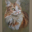 honeydumpling avatar