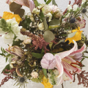 honeyedstories avatar