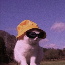 honeygingerlemons avatar
