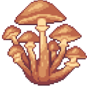 honeymushroom avatar