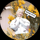 honeypot-taetae avatar