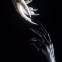 honeyskeleton avatar