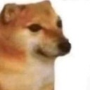 honeystarstew avatar