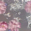 honeywithdates avatar