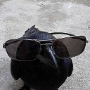 honeyyghostboy avatar