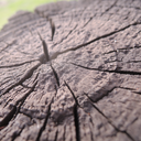 hongmouse-blog avatar