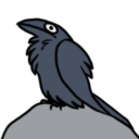 honkingcrow avatar