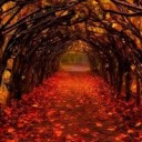 honkschraders avatar