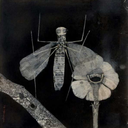 honor-soul-blog avatar