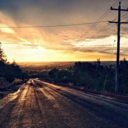 hoodiemonster avatar