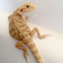 hoodsamaritan-blog avatar