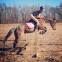 hoofbeats-over-heartbeats avatar