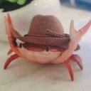 hooperismydad avatar