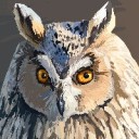 hoothootamowl avatar