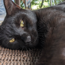 hope--tomorrow avatar