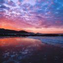 hope-will-rise avatar