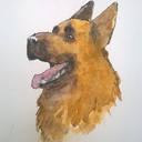 hopeful-idiot avatar