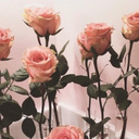 hopeful-knope avatar