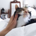 hopefullllllllll avatar