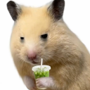 hopefully-grimderp avatar