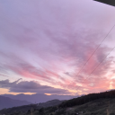 hopefulshoeclamtrash avatar