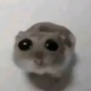 hopefulskeletonpainterslime avatar