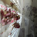 hopeiswhatweaimfor-blog avatar