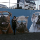 hopelessly-wanderlost avatar