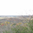 hopelesslyhelpless avatar