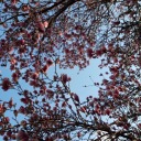 hopelesslyhopefulforyou avatar