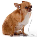 hopelesslyhopingfor avatar