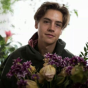 hopelessoptimist avatar