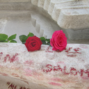 hopesingsthetune avatar