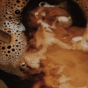 hopey-in-her-world avatar