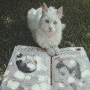 hopingforappreciation avatar