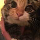 hopingfornormal avatar