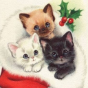 hoppersdrugmart avatar