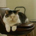 horimari-blog avatar