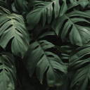 horiz0nsofblue avatar