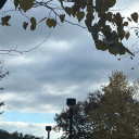 horizonsinger avatar