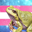 hormonalcroutans-blog avatar