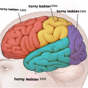 hornylesbianbrain avatar