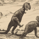horrible-lizards avatar
