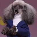 horridlysweet avatar