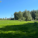 horror-princess123 avatar