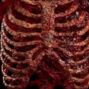 horrorloverrr avatar