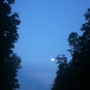 horrorphotosandfunnystuff avatar