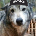 horsebiologist avatar